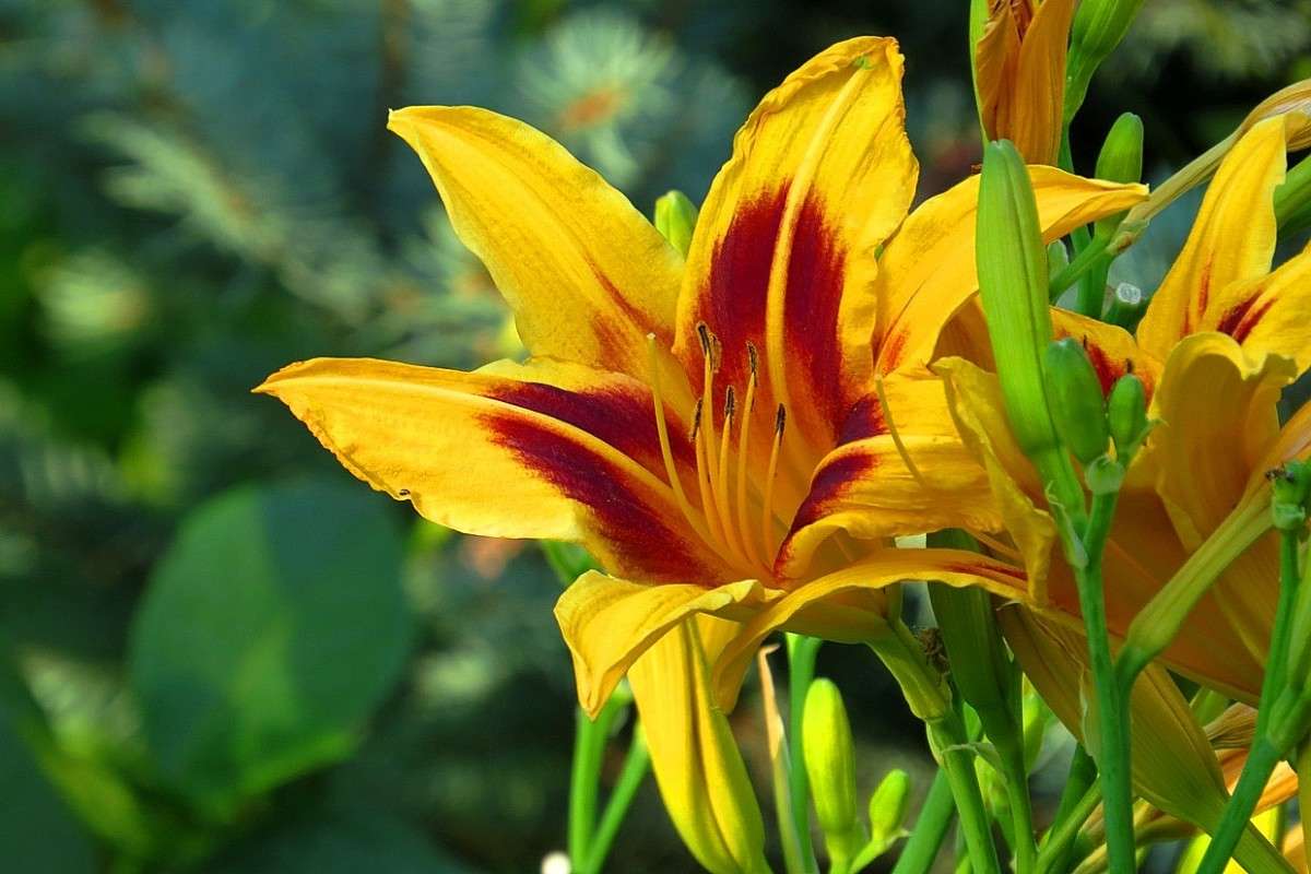 ... ����� Natali  ��������� �� PhotoGeek.ru #����� ��������������