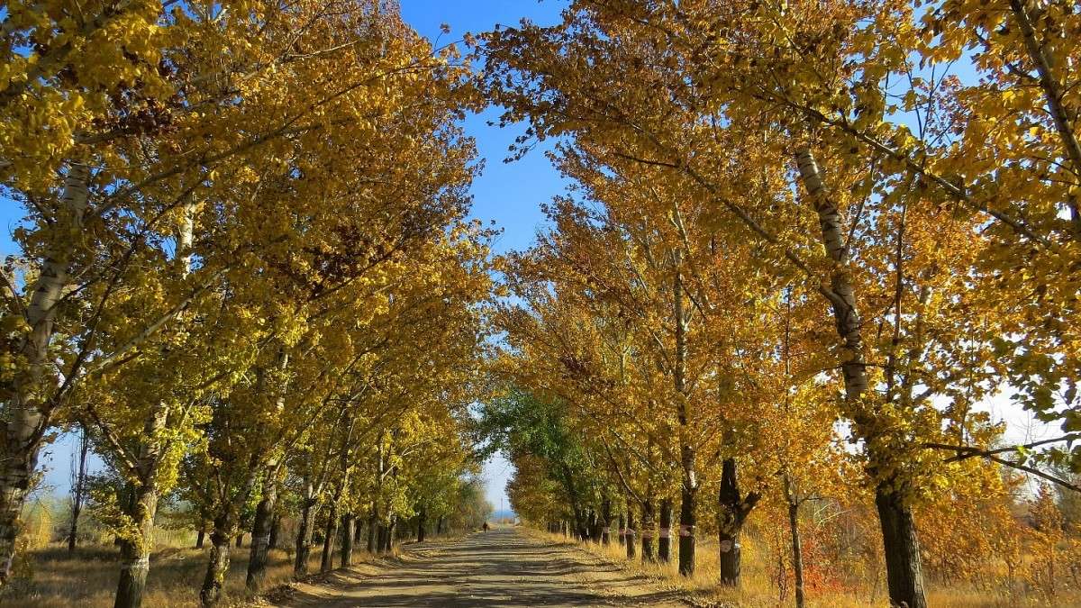 ������� ���� 1 ����� Natali  ��������� �� PhotoGeek.ru #������ ��� ������� #����� ��������������