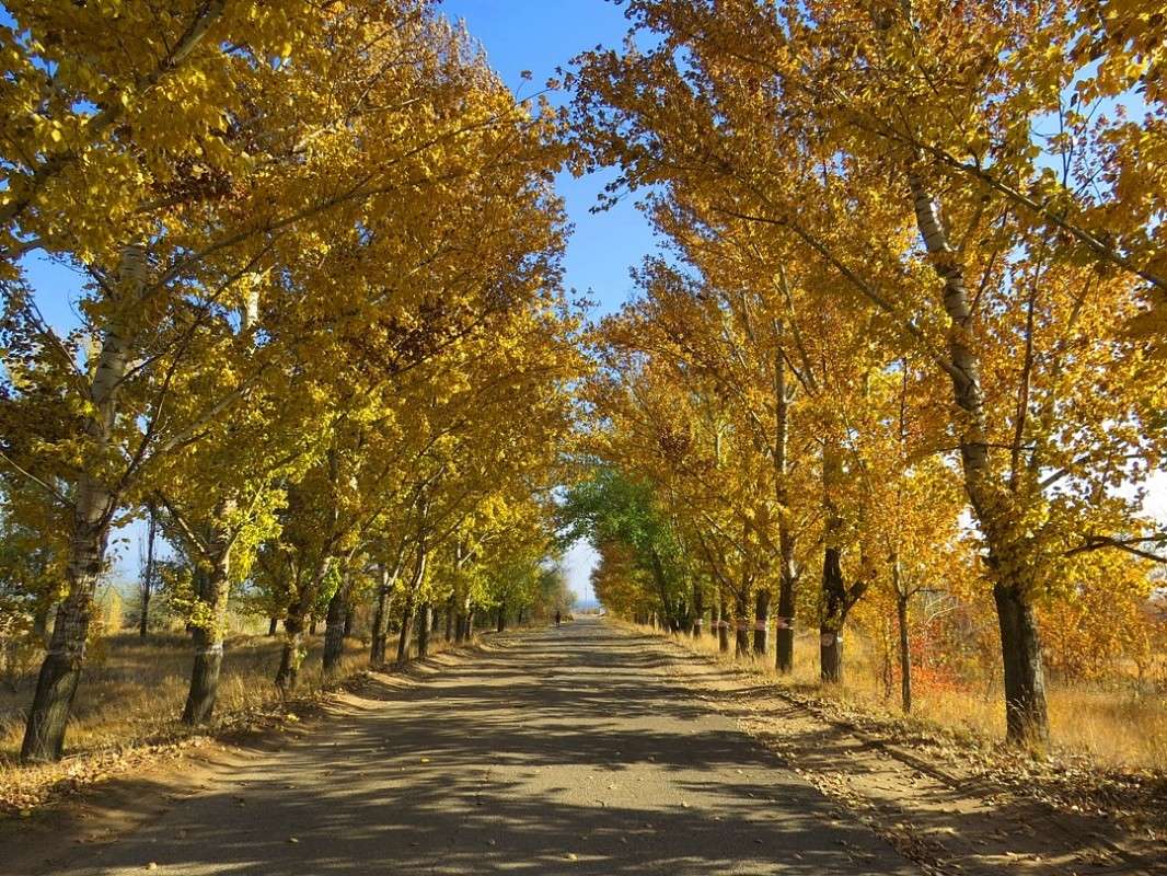 ������� ���� 2 ����� Natali  ��������� �� PhotoGeek.ru #������ ��� ������� #����� ��������������