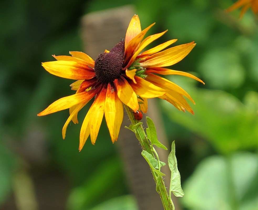 ... ����� Natali  ��������� �� PhotoGeek.ru #������ ��� ������� #����� ��������������