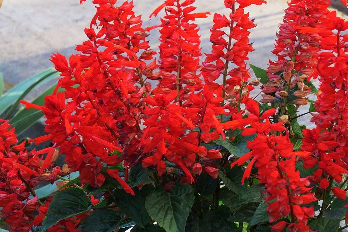 ... ����� Natali  ��������� �� PhotoGeek.ru #������ ��� ������� #����� ��������������