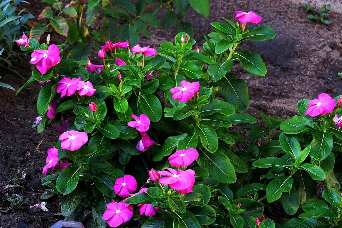 ... ����� Natali  ��������� �� PhotoGeek.ru #������ ��� ������� #����� ��������������