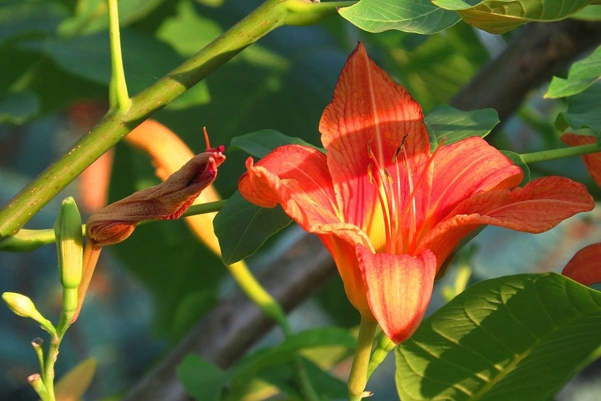 �� ����� ))) ����� Natali  ��������� �� PhotoGeek.ru #������ ��� ������� #����� ��������������