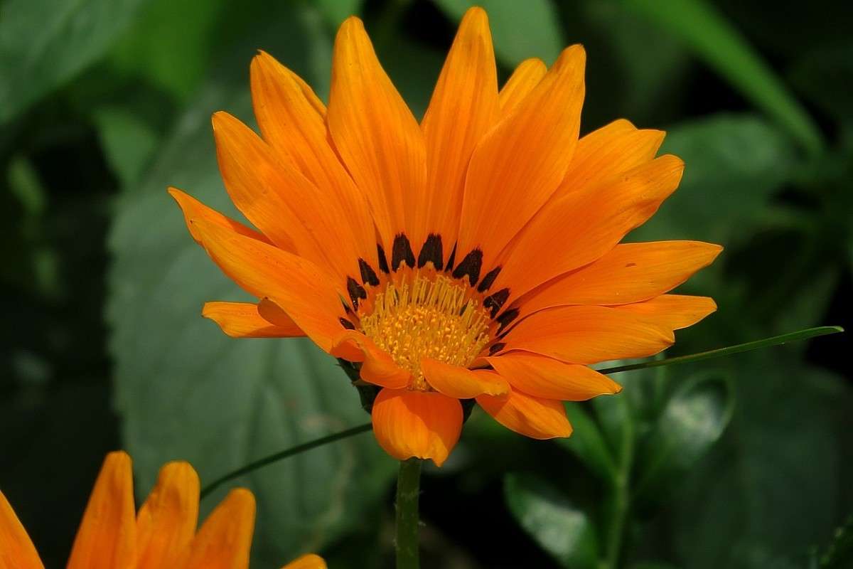 �� ����� ))) ...2 ����� Natali  ��������� �� PhotoGeek.ru #������ ��� ������� #����� ��������������