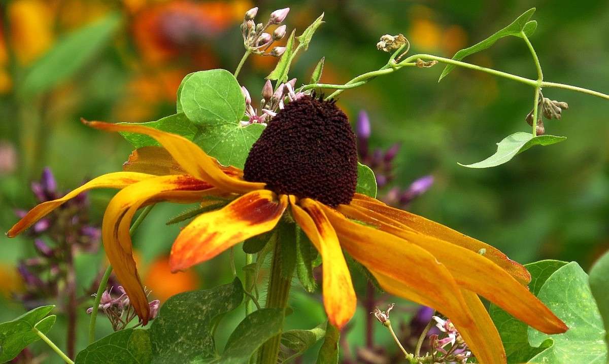 �� ����� ))) ... 3 ����� Natali  ��������� �� PhotoGeek.ru #������ ��� ������� #����� ��������������