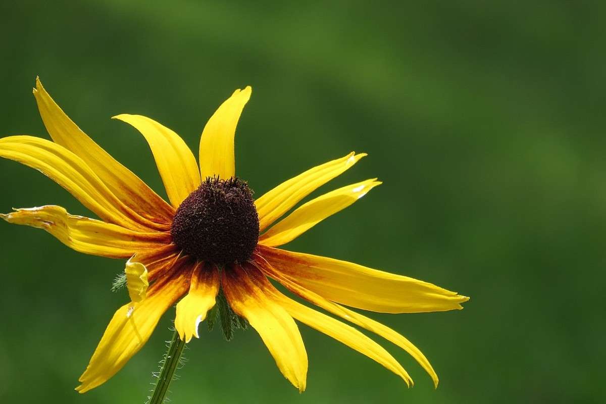 �� ����� ))) ... 4 ����� Natali  ��������� �� PhotoGeek.ru #������ ��� ������� #����� ��������������