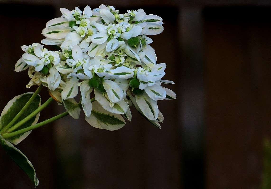 �� ����� ))) ... 5 ����� Natali  ��������� �� PhotoGeek.ru #������ ��� ������� #����� ��������������