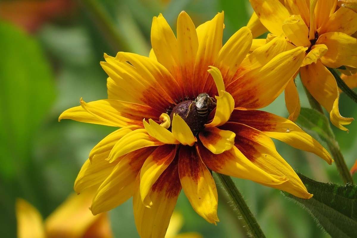 ... ����� Natali  ��������� �� PhotoGeek.ru #������ ��� ������� #����� ��������������