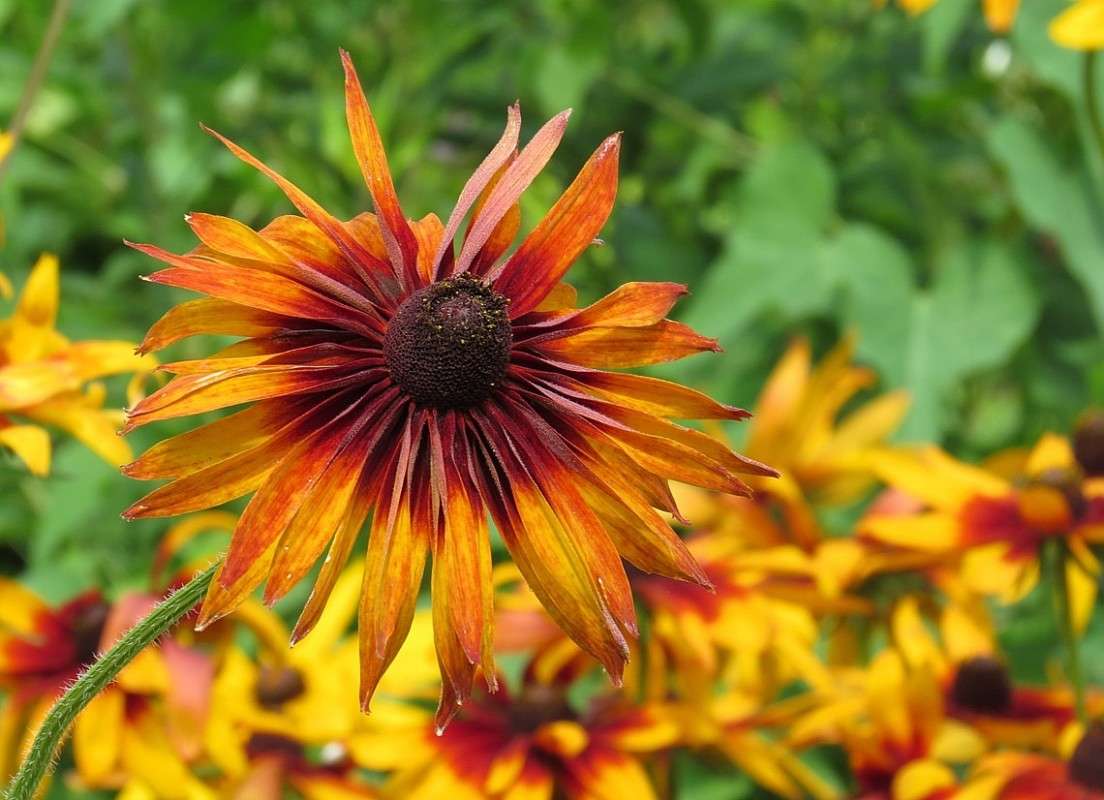 ... ����� Natali  ��������� �� PhotoGeek.ru #������ ��� ������� #����� ��������������