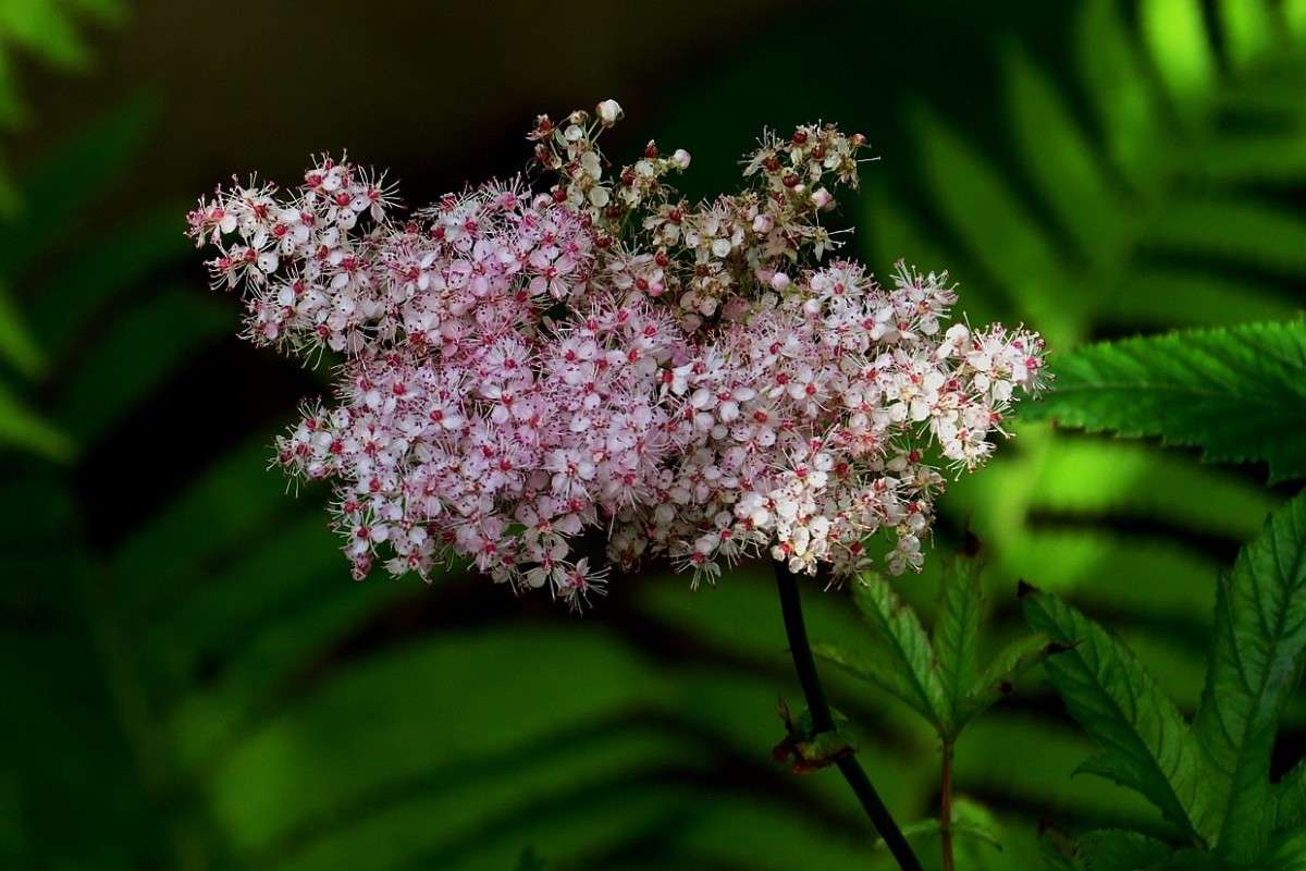 ... ����� Natali  ��������� �� PhotoGeek.ru #������ ��� ������� #����� ��������������