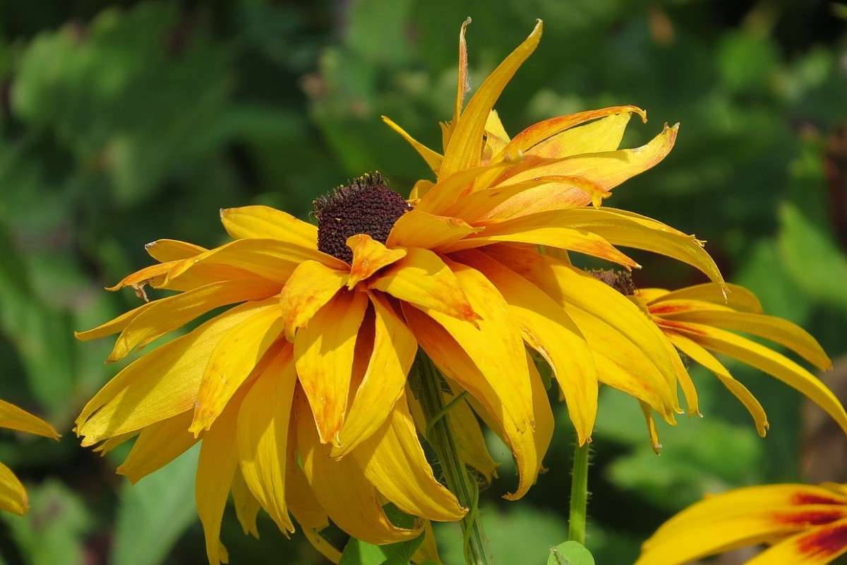 ... ����� Natali  ��������� �� PhotoGeek.ru #������ ��� ������� #����� ��������������