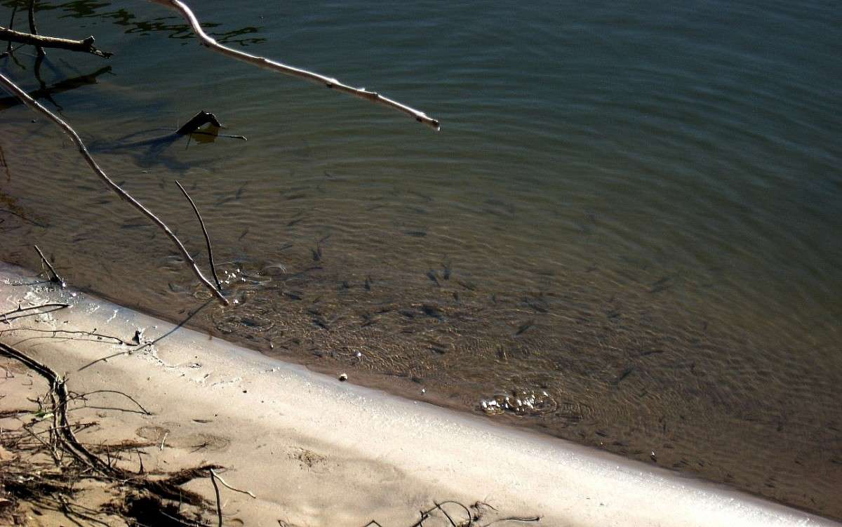 � ������� ... ) ����� Natali  ��������� �� PhotoGeek.ru #������