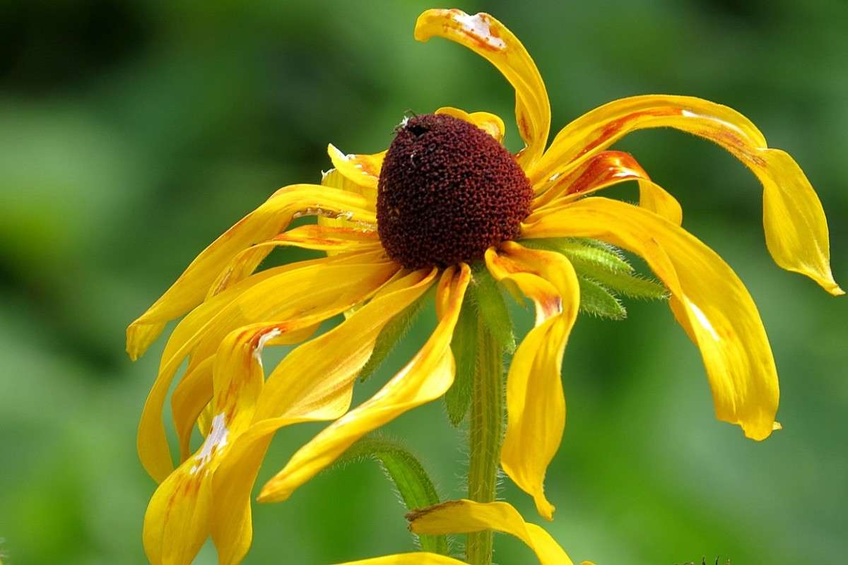 ������� ����� ) ����� Natali  ��������� �� PhotoGeek.ru #������ ��� ������� #����� ��������������