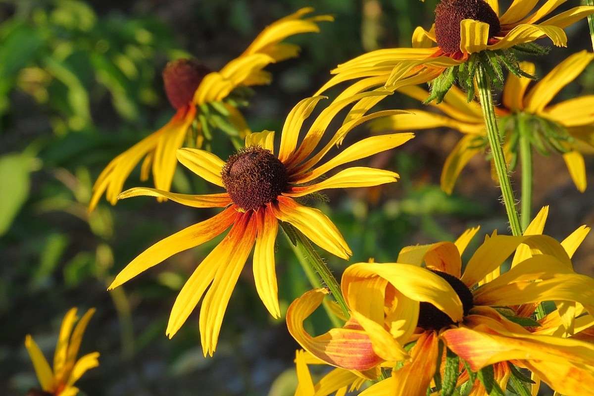 ������� ����� ) 2 ����� Natali  ��������� �� PhotoGeek.ru #������ ��� ������� #����� ��������������