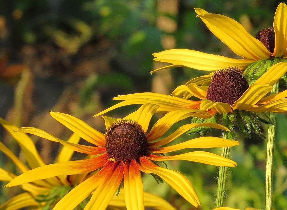 ������� ����� ) 3 ����� Natali  ��������� �� PhotoGeek.ru #������ ��� ������� #����� ��������������