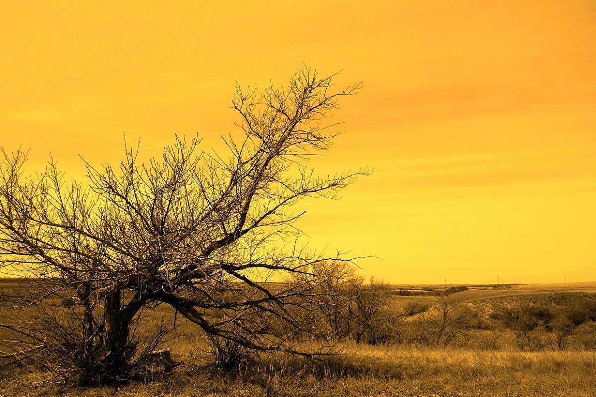 �� ������� ��������� ����� Natali  ��������� �� PhotoGeek.ru #������ ��� ������� #����� ��������������