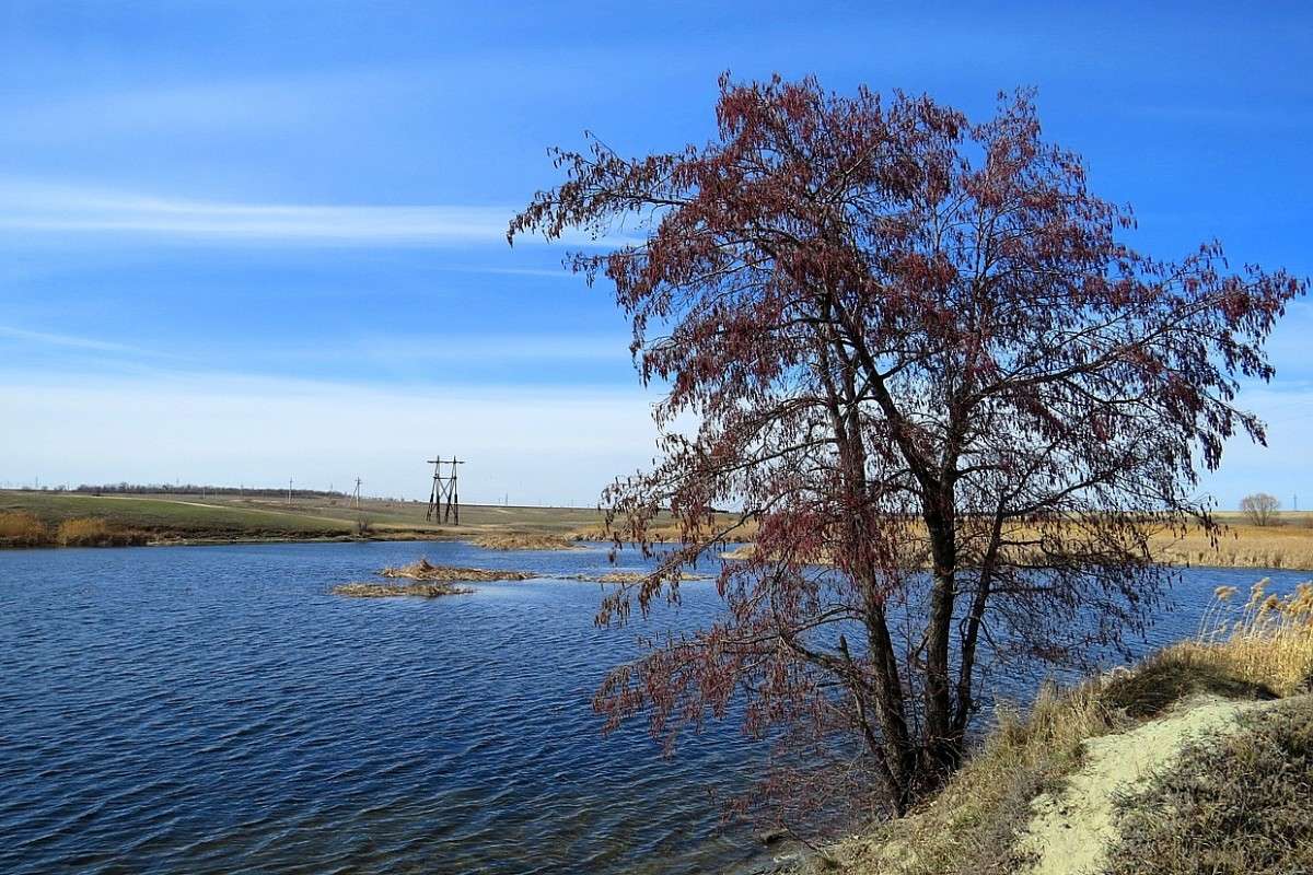 ����� �����, ����� ������ .... ����� Natali  ��������� �� PhotoGeek.ru #������ ��� ������� #����� ��������������