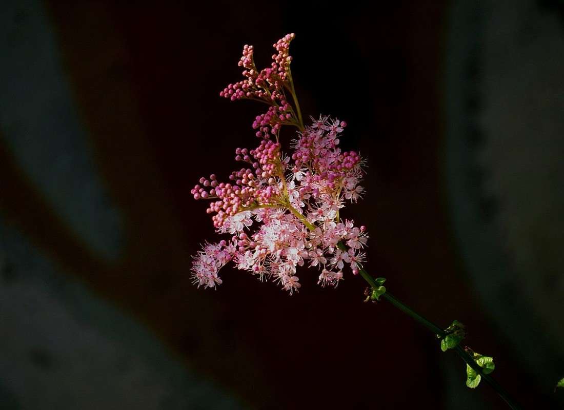 ... ����� Natali  ��������� �� PhotoGeek.ru #������ ��� ������� #����� ��������������