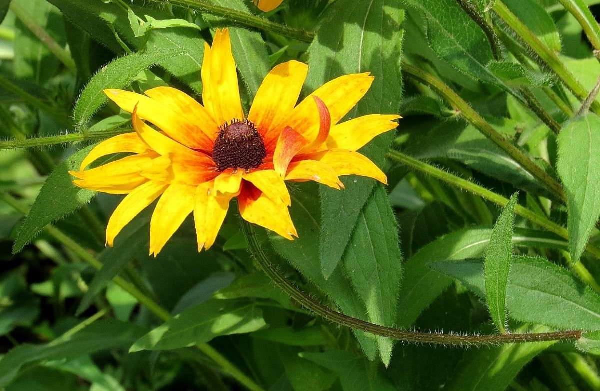 ... ����� Natali  ��������� �� PhotoGeek.ru #������ ��� ������� #����� ��������������