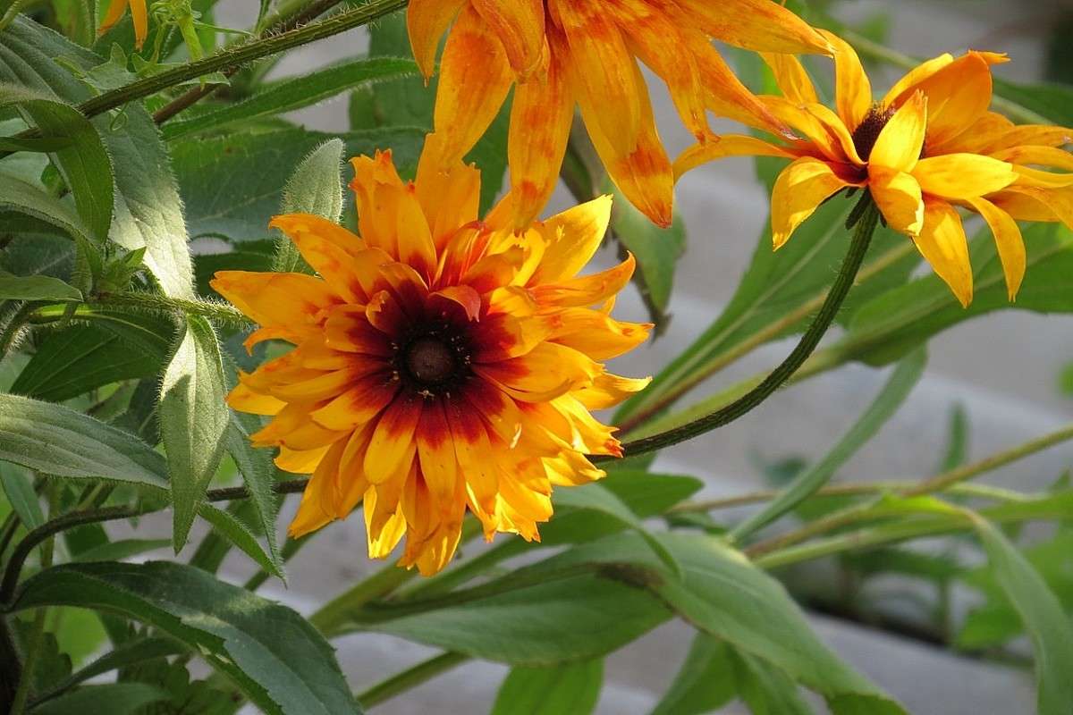 ... ����� Natali  ��������� �� PhotoGeek.ru #������ ��� ������� #����� ��������������