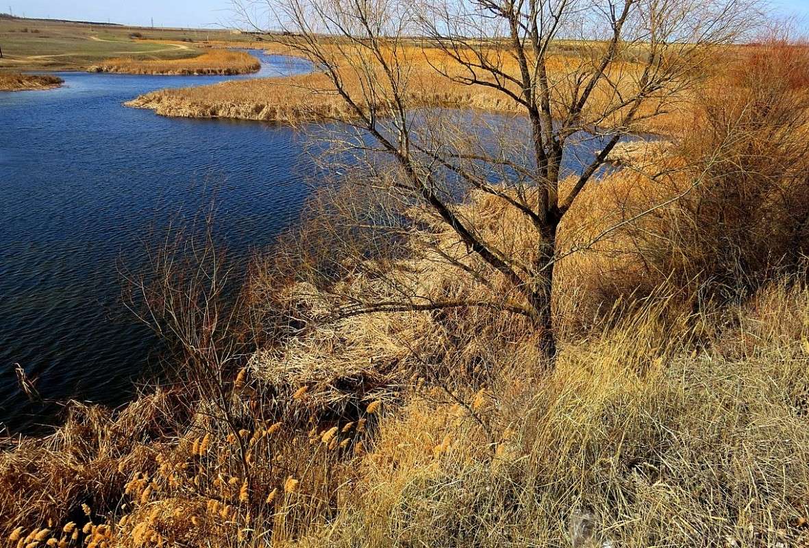 �� ������� ��������� 3 ����� Natali  ��������� �� PhotoGeek.ru #������ ��� ������� #����� ��������������