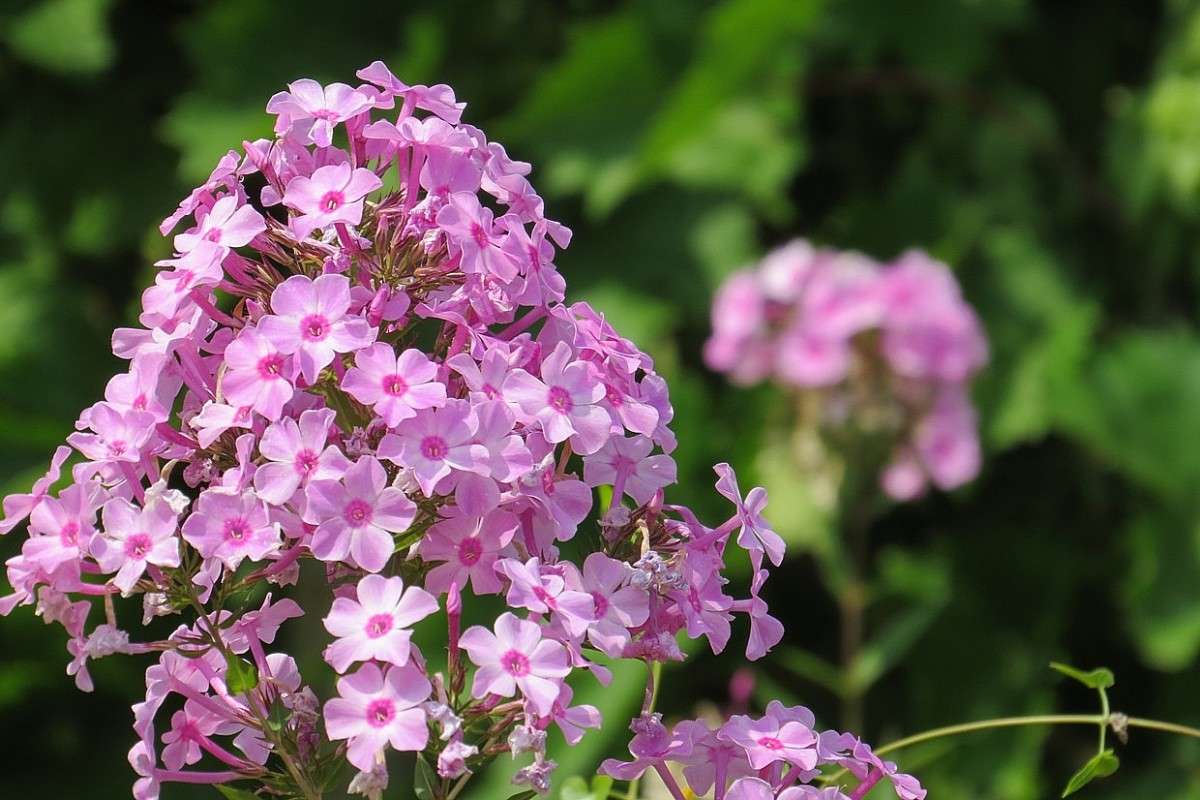 ... ����� Natali  ��������� �� PhotoGeek.ru #������ ��� ������� #����� ��������������