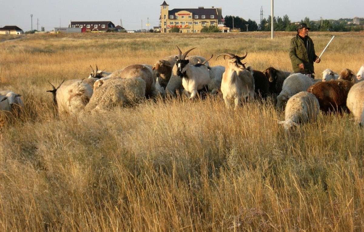 ��� ��� �� ������ ... ))) ����� Natali  ��������� �� PhotoGeek.ru #�������� ��� #�������� ���������� #�������� ��� #����� ��������