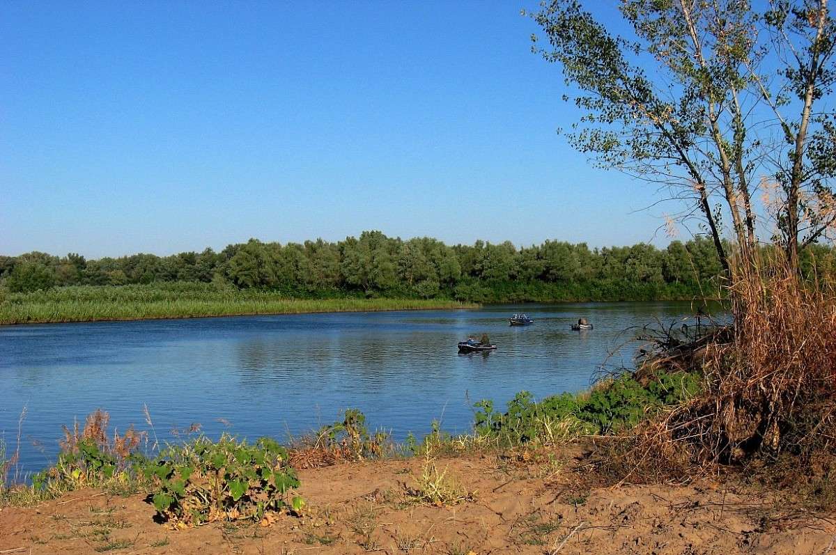 ������� ������� ))) ����� Natali  ��������� �� PhotoGeek.ru #������ ��� ������� #�������� ���������� #����� ��������������