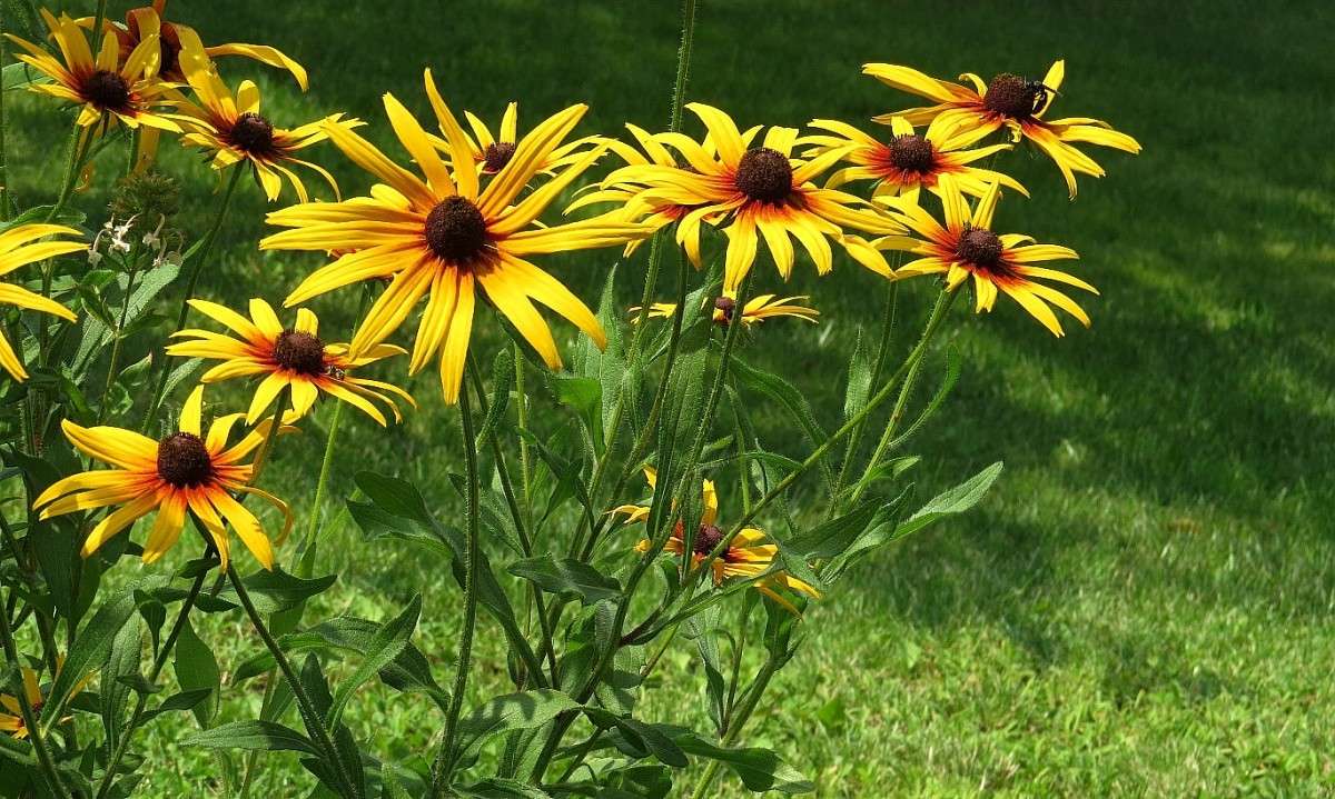 ... ����� Natali  ��������� �� PhotoGeek.ru #������ ��� ������� #����� ��������������