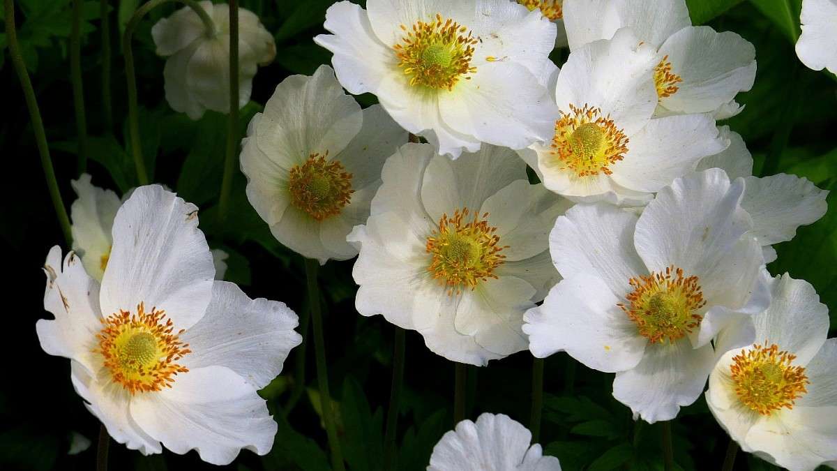 ... ����� Natali  ��������� �� PhotoGeek.ru #������ ��� ������� #����� ��������������