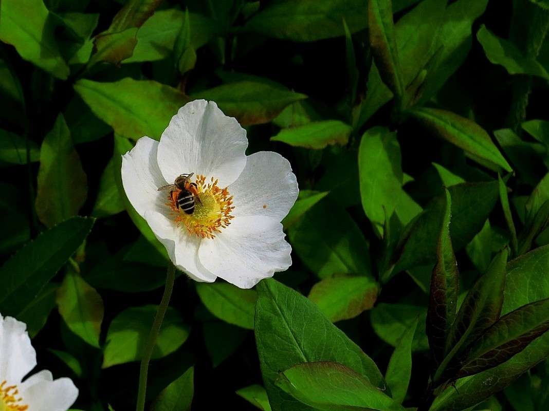 ... ����� Natali  ��������� �� PhotoGeek.ru #������ ��� ������� #����� ��������������