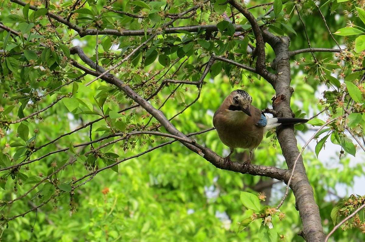 ����� ����� Natali  ��������� �� PhotoGeek.ru #�������� ��� #������ ��� �������