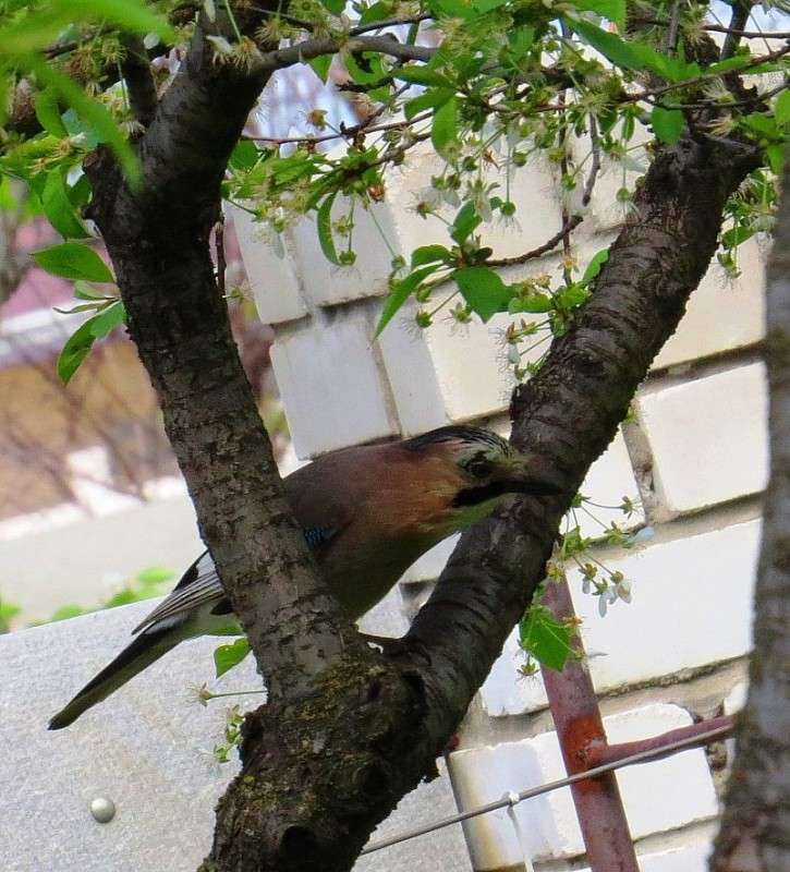 ����� 2 ����� Natali  ��������� �� PhotoGeek.ru #�������� ���