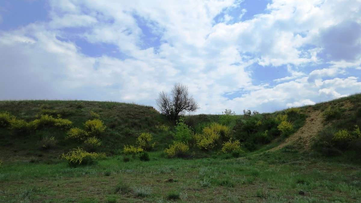 ����� ������ ����� Natali  ��������� �� PhotoGeek.ru #������ ��� ������� #����� ��������������