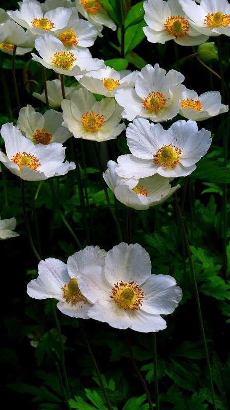 ... ����� Natali  ��������� �� PhotoGeek.ru #������ ��� ������� #����� ��������������