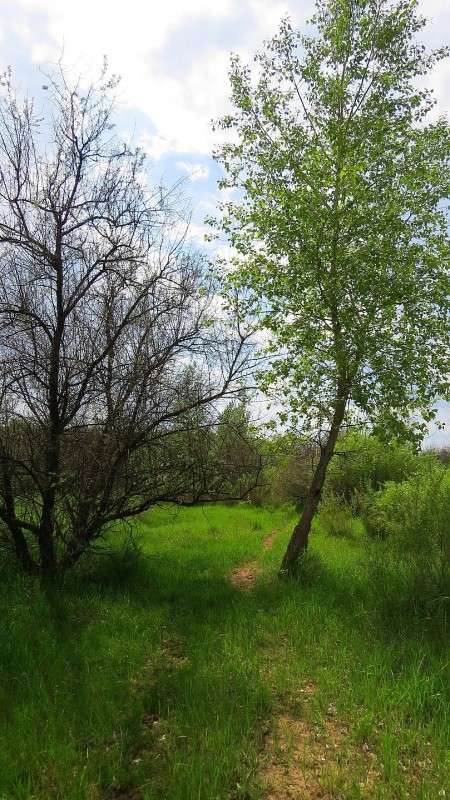 �������� ����� Natali  ��������� �� PhotoGeek.ru #������ ��� �������