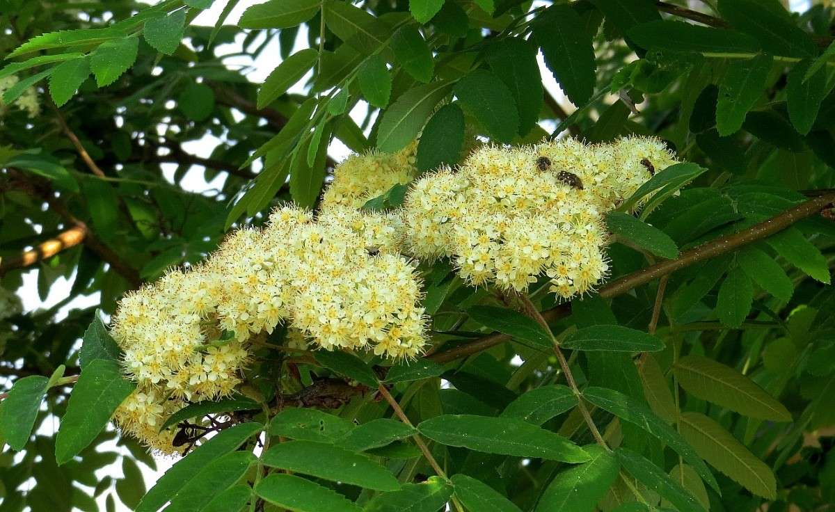 ... ����� Natali  ��������� �� PhotoGeek.ru #������ ��� ������� #����� ��������������