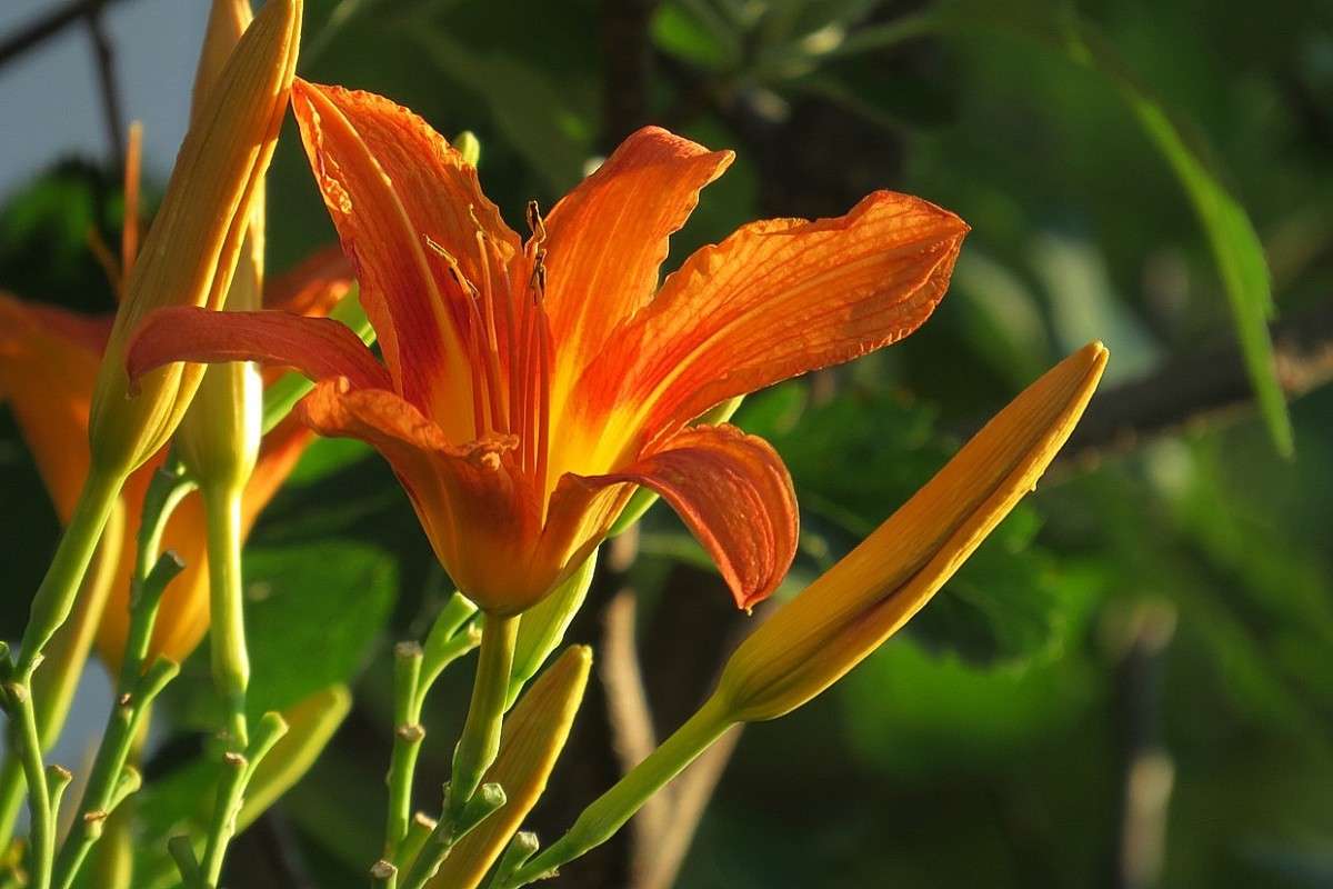 ... ����� Natali  ��������� �� PhotoGeek.ru #������ ��� ������� #����� ��������������