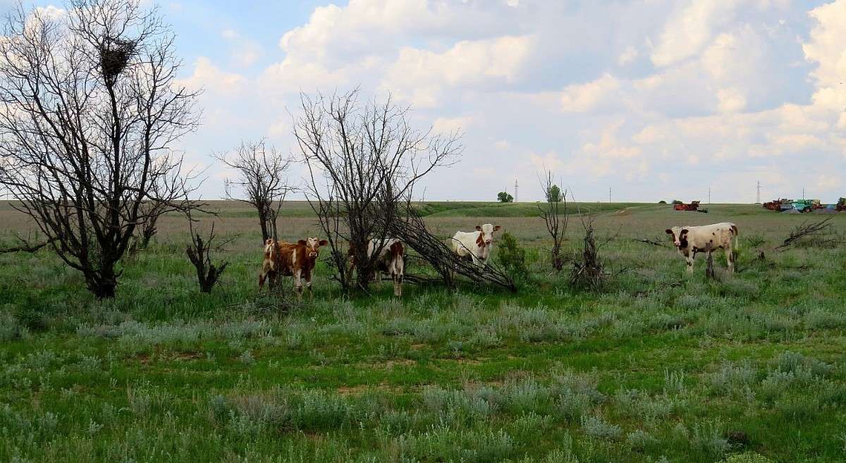 �������� ������� ����� Natali  ��������� �� PhotoGeek.ru #�������� ��� #������ ��� ������� #���������