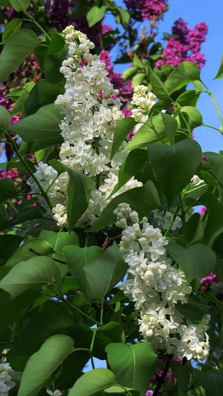 ... ����� Natali  ��������� �� PhotoGeek.ru #������ ��� ������� #����� ��������������