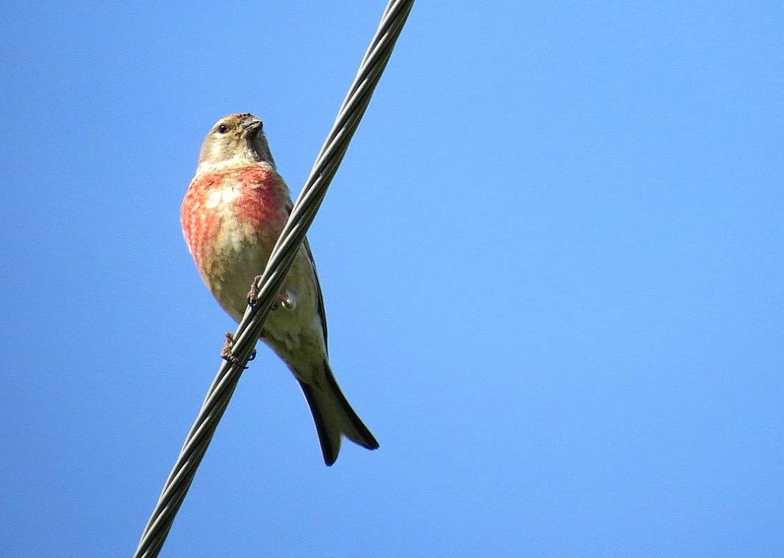 ... ����� Natali  ��������� �� PhotoGeek.ru #�������� ���