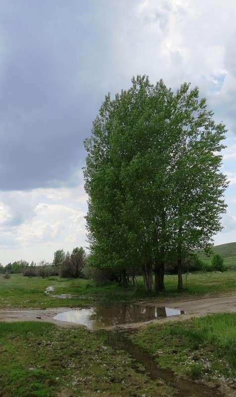 ��������� ����� ����� Natali  ��������� �� PhotoGeek.ru #������ ��� �������