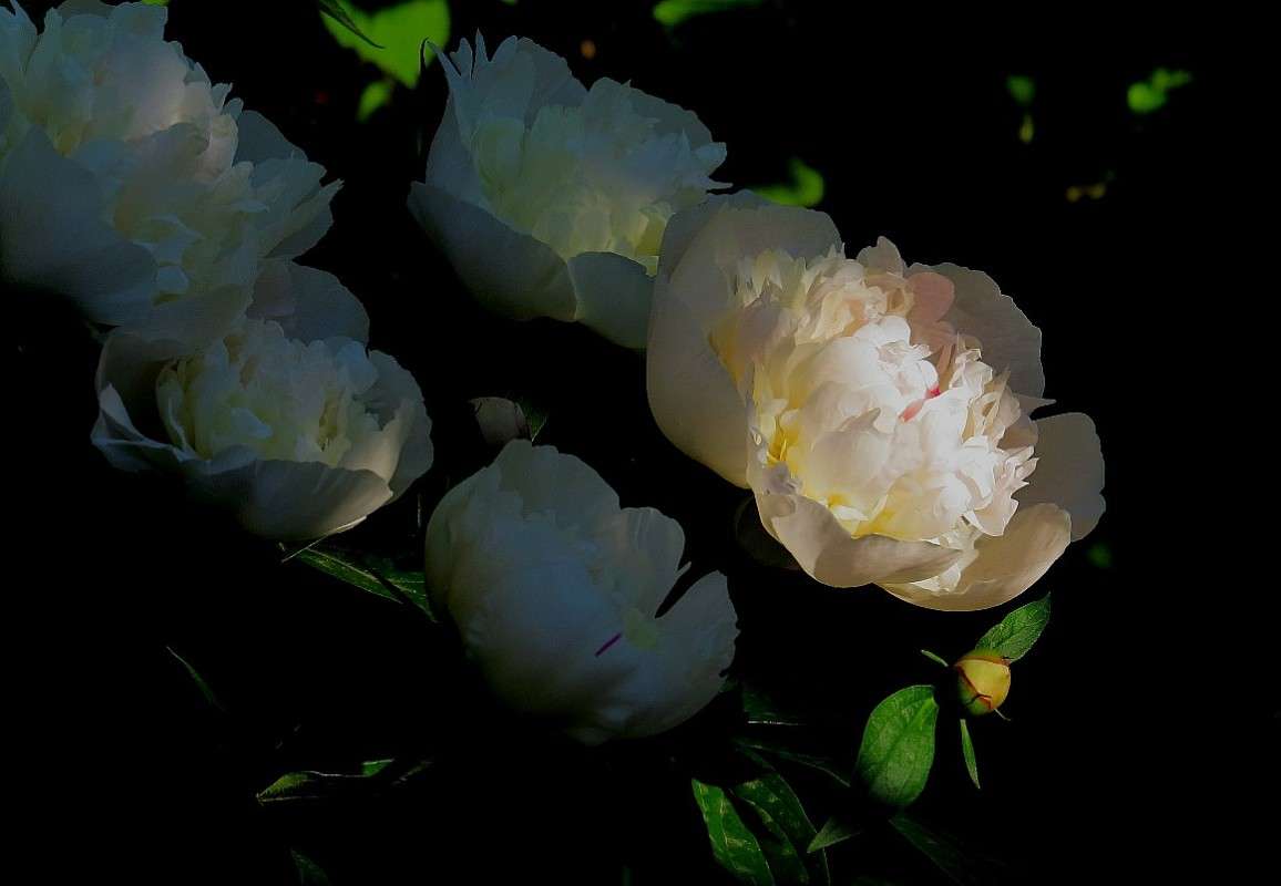 ���� � ���� ����� Natali  ��������� �� PhotoGeek.ru #������ ��� ������� #����� ��������������