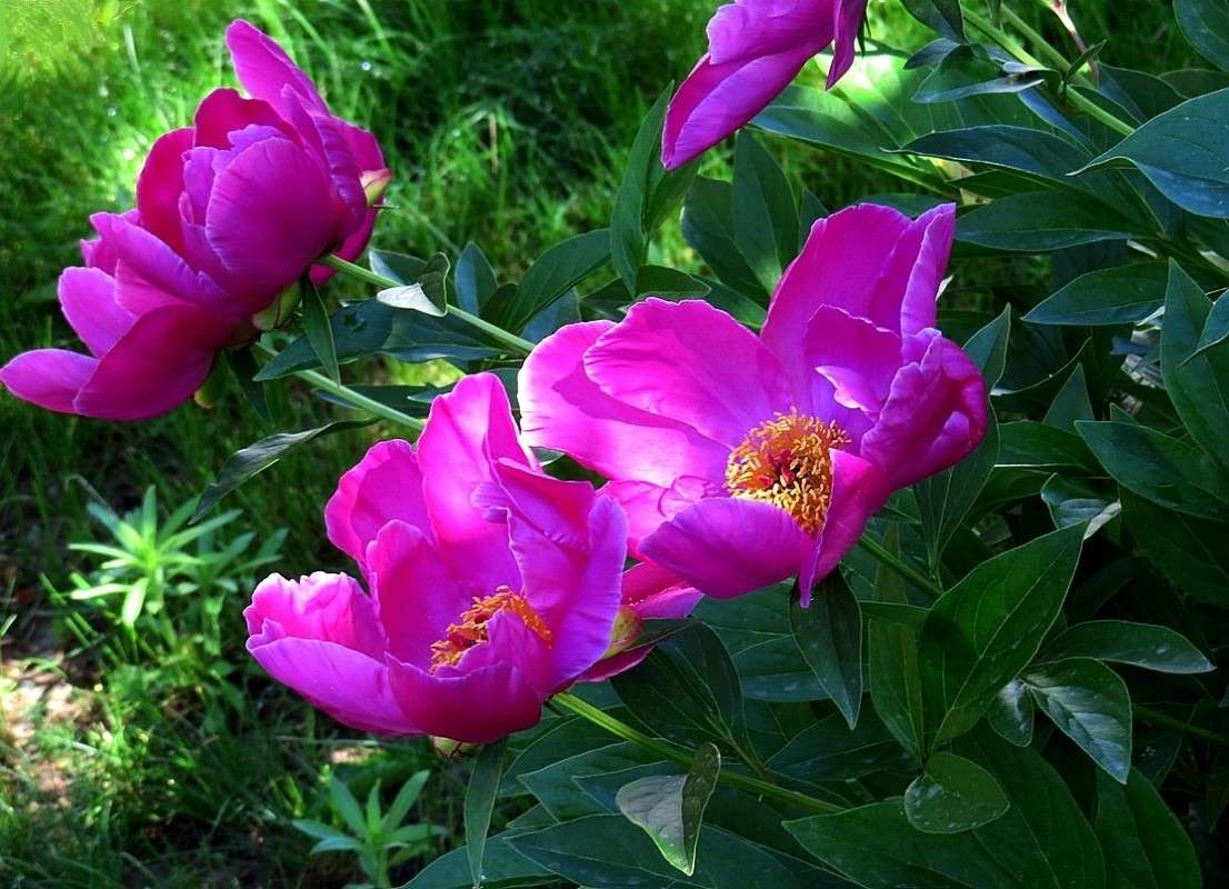 ... ����� Natali  ��������� �� PhotoGeek.ru #������ ��� ������� #����� ��������������