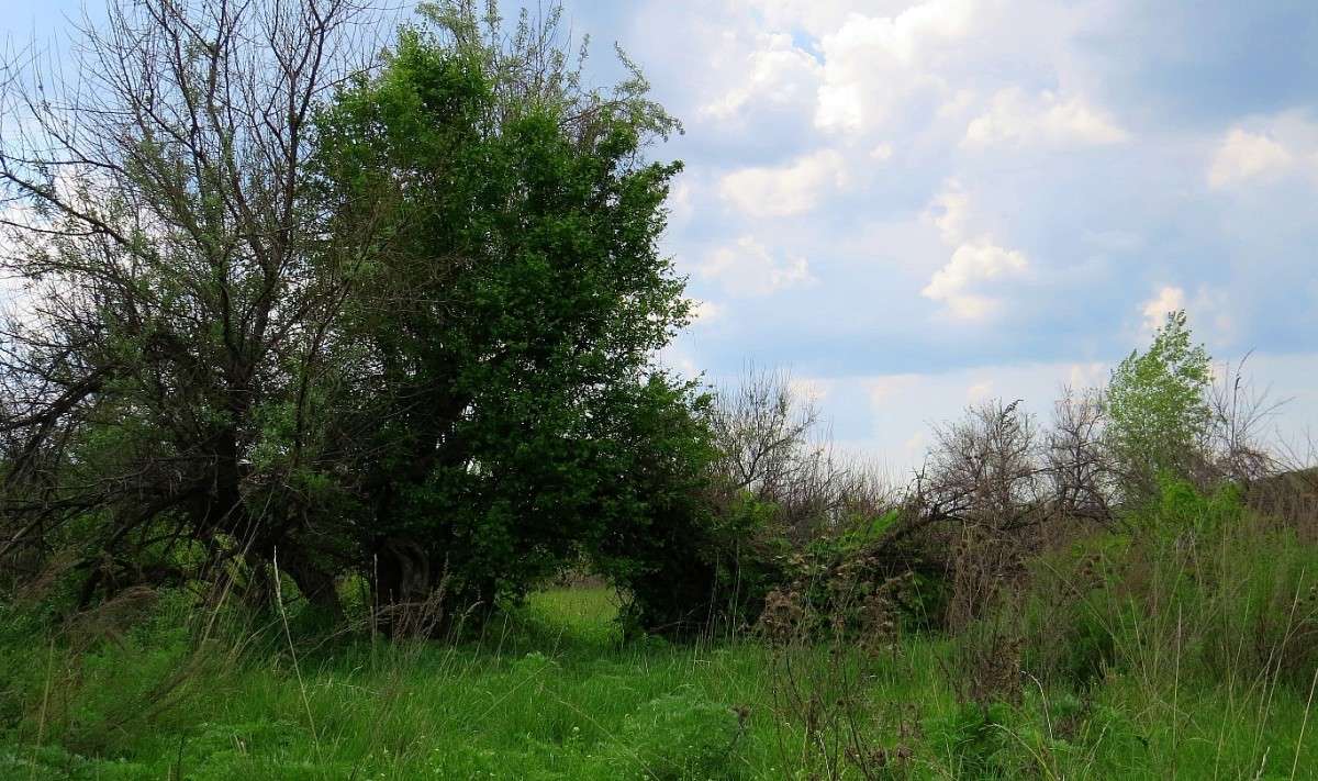 ��������� ����� 2 ����� Natali  ��������� �� PhotoGeek.ru #������ ��� ������� #����� ��������������