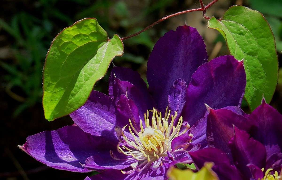 ... ����� Natali  ��������� �� PhotoGeek.ru #������ ��� ������� #����� ��������������