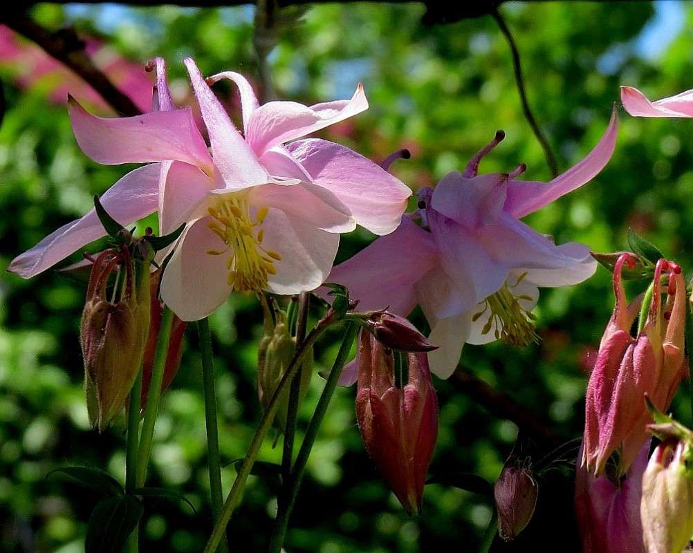 �������� ���������� 2 ����� Natali  ��������� �� PhotoGeek.ru #������ ��� ������� #����� ��������������