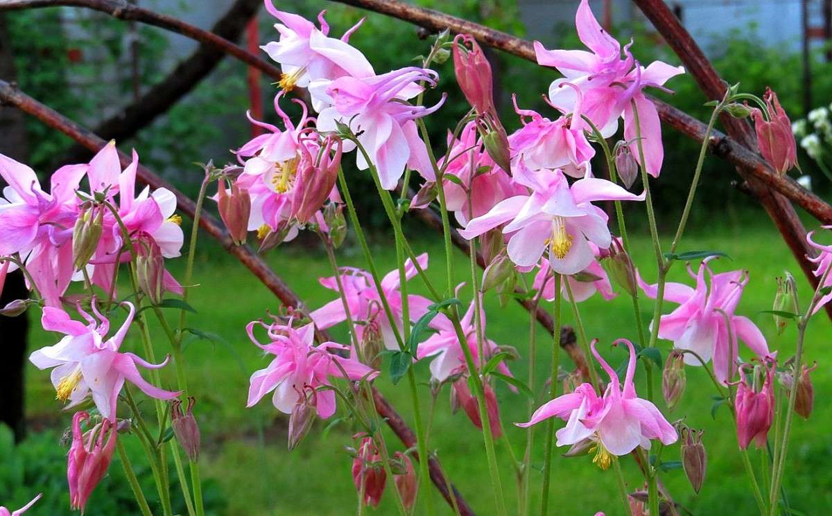 �������� ���������� ����� Natali  ��������� �� PhotoGeek.ru #������ ��� ������� #����� ��������������