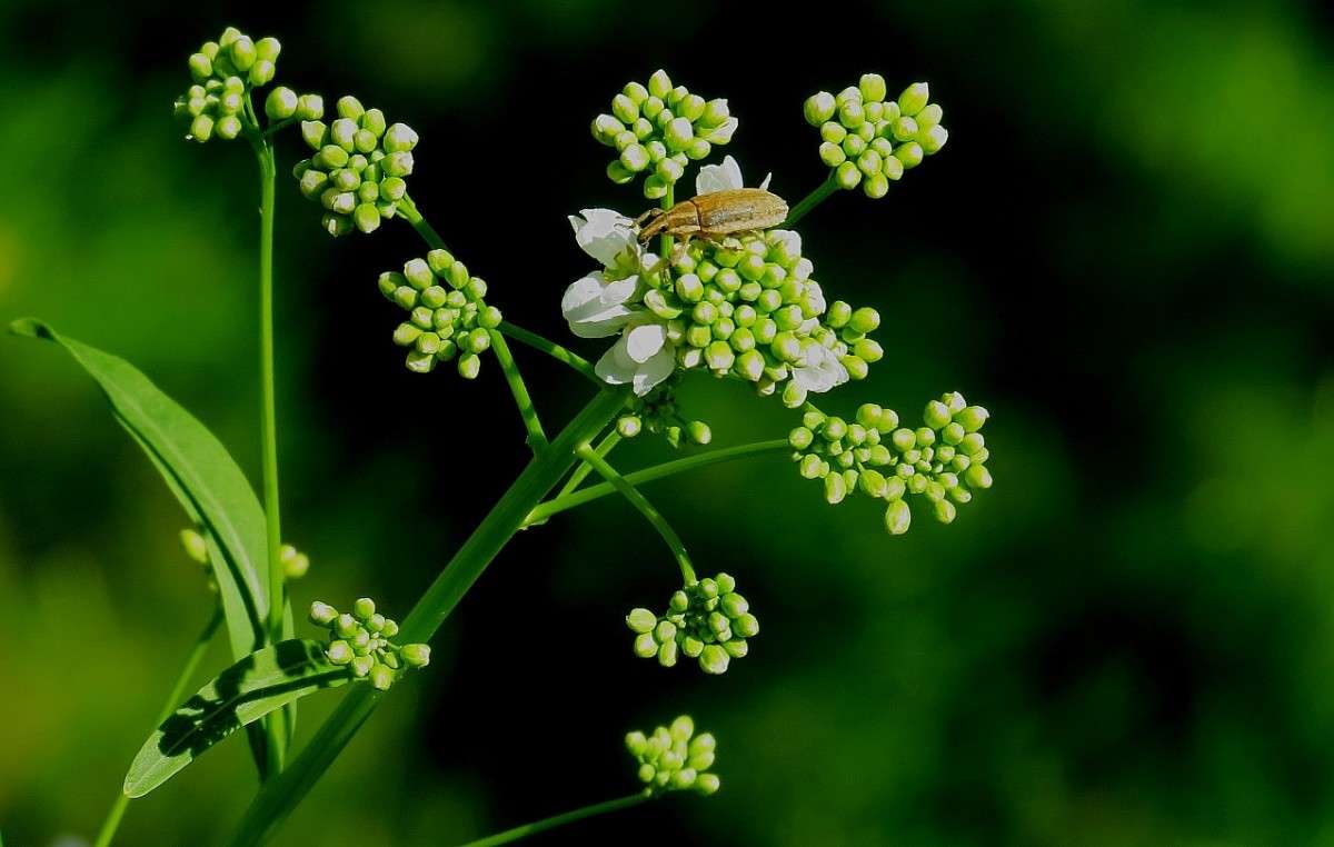 ... ����� Natali  ��������� �� PhotoGeek.ru #����� ��������������