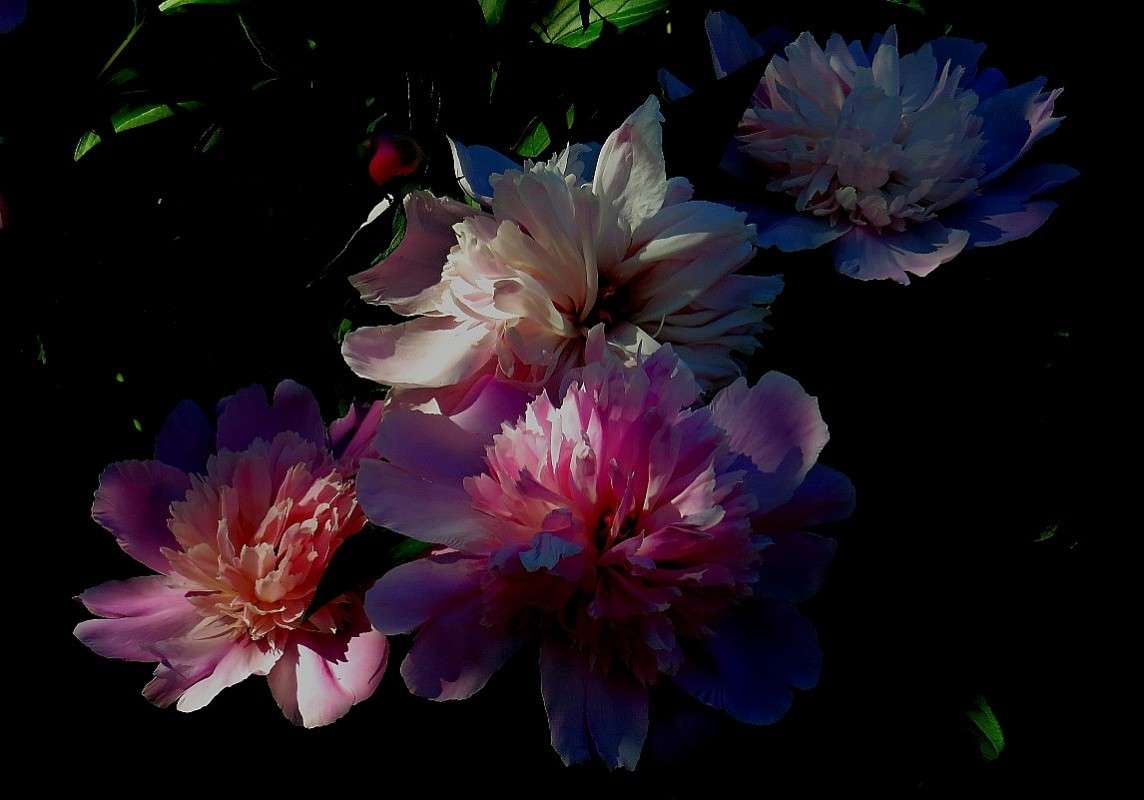 ���� � ���� 3 ����� Natali  ��������� �� PhotoGeek.ru #������ ��� ������� #����� ��������������